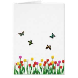 Papillon et tulipes