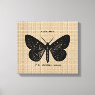 Papillon français vintage sur toile