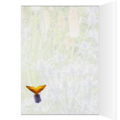 Papillon Fritillaire Dans Un Jardin D'Été (Intérieur (Gauche))