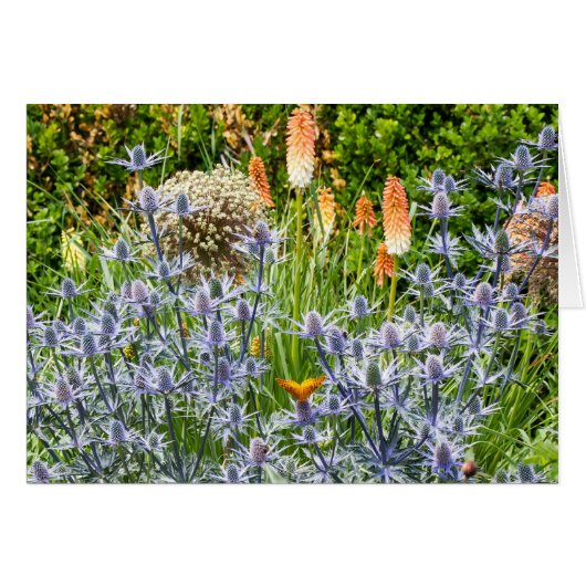Papillon Fritillaire Dans Un Jardin D'Été (Devant horizontal)