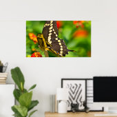 Papillon Géant En Espèces En Poster Fleur sauvage (Bureau à domicile)