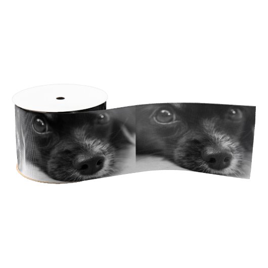 papillon grosgrain lint (Spoel)