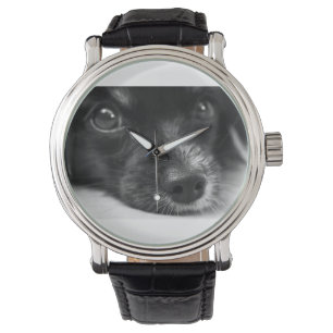 papillon horloge