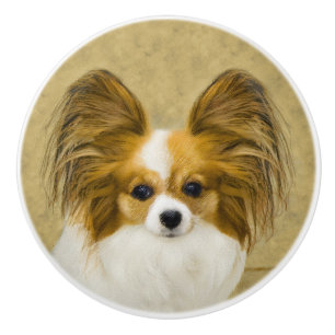Papillon (Hound Tri) schilderen - Oorspronkelijke  Keramische Knop