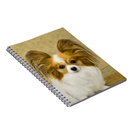 Papillon (Hound Tri) schilderen - Oorspronkelijke  Notitieboek (Rechterzijde)