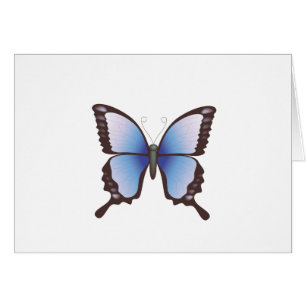Papillon : Illustration de vecteur :