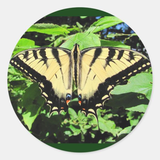 Papillon jaune ~ autocollant (Devant)