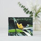 Papillon jaune dans la carte postale Sun (Debout devant)