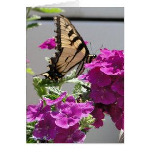 Papillon jaune de machaon et fleurs pourpres