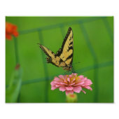 Papillon jaune Impression photo (Devant)