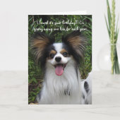 Papillon Je bent hoe oude verjaardag Kaart (Voorkant)