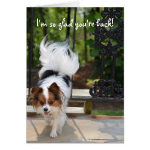 Papillon je suis si heureux vous êtes de retour