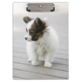 Papillon Klembord (Voorkant)