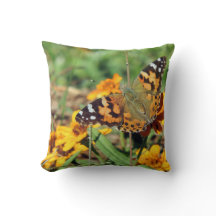 Papillon Lady Peinte sur Coussin de Jardin Zinnia