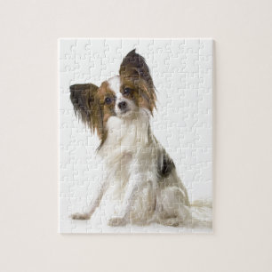 Papillon Legpuzzel