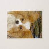 Papillon Legpuzzel (Horizontaal)