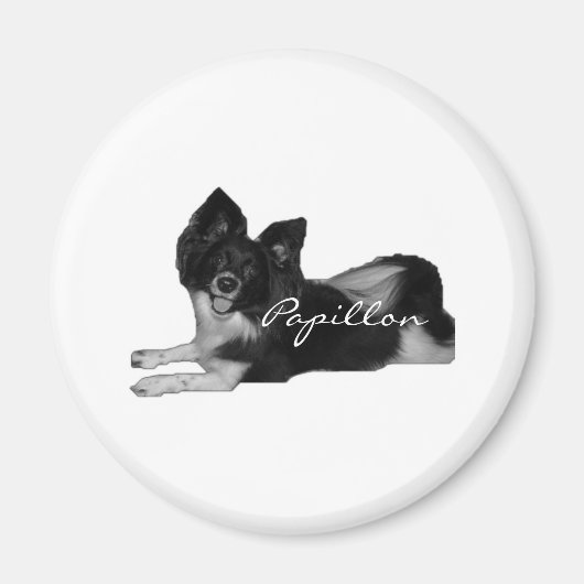 Papillon Magneet (Voorkant)