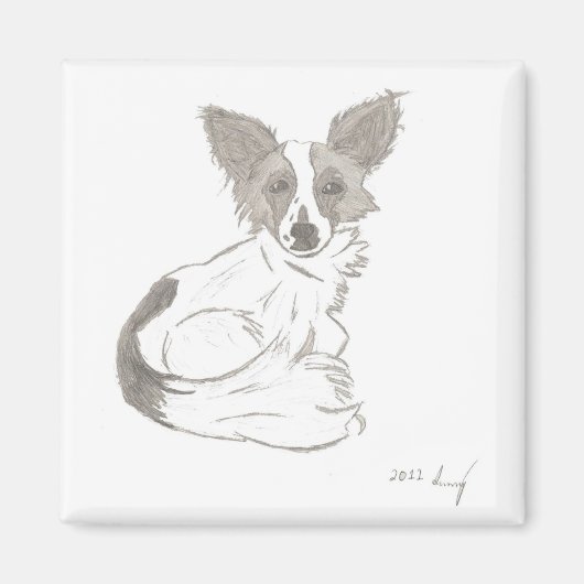 Papillon - Magnet (Devant)