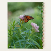 Papillon monarque (Dos)