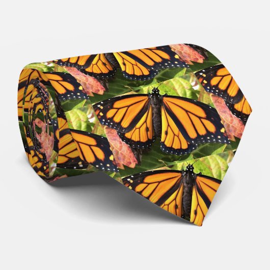 Papillon Monarque Cravate pour hommes (Roulé)