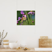 Papillon Monarque et Fleurs de Cosmos Affiche d'Ar (Cuisine)