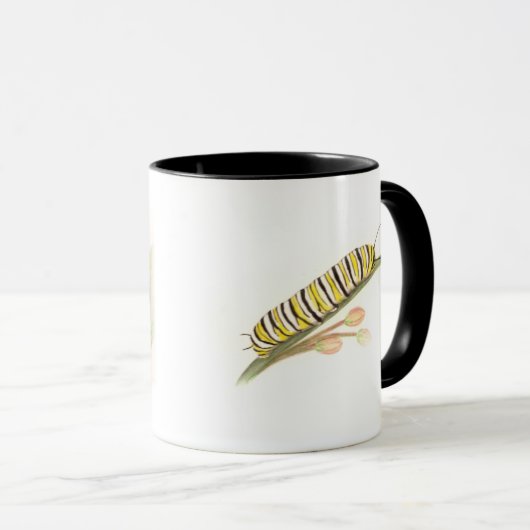 Papillon monarque et mug de chenille (Devant droit)