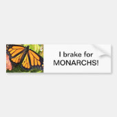 Papillon Monarque - Sticker (Devant)