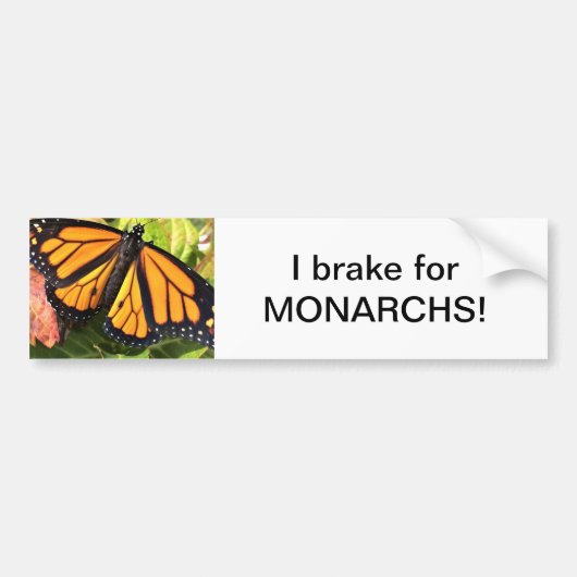 Papillon Monarque - Sticker (Devant)