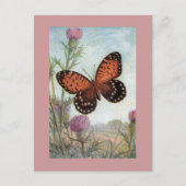 Papillon Monarque sur carte postale Clover violet (Devant)