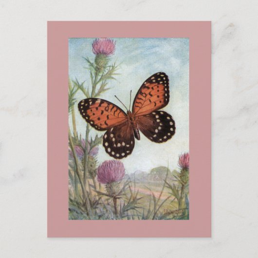 Papillon Monarque sur carte postale Clover violet (Devant)