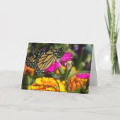 Papillon monarque sur cartes de voeux marigold ros (Dos)