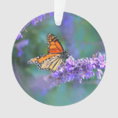 Papillon Monarque sur Fleur violette lilas (devant)