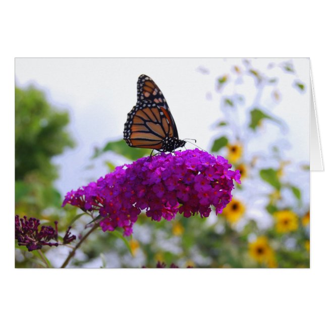Papillon Monarque sur la carte Bush Papillon (Devant horizontal)