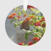 Papillon monarque sur le papillon rouge Bush (devant)