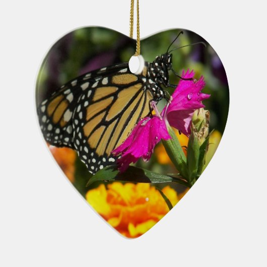 Papillon Monarque sur ornement de coeur marigold r (Droite)