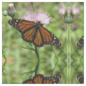 Papillon monarque sur tissu de chardon rose (Fermer)