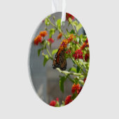 Papillon Monarque sur un Buddleia Rouge (devant)