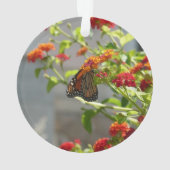 Papillon Monarque sur un Buddleia Rouge (dos)