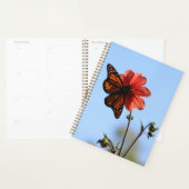 Papillon monarque sur une Dahlia (Devant avec enveloppe)