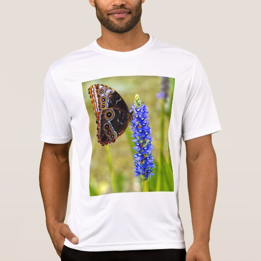 Papillon morpho bleu sur T-shirt orchidée marécage (Devant)