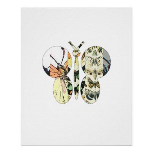 Papillon Mosaïque - Affiche de collage de lépidopt (Devant)