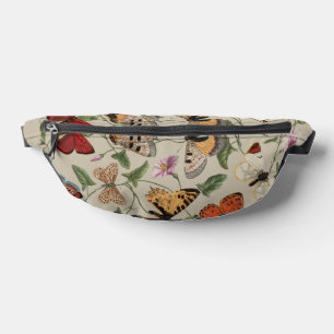 Papillon Moth Nature Collection Dessin