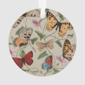 Papillon Moth Nature Collection Dessin (dos)