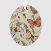 Papillon Moth Nature Collection Dessin (devant)