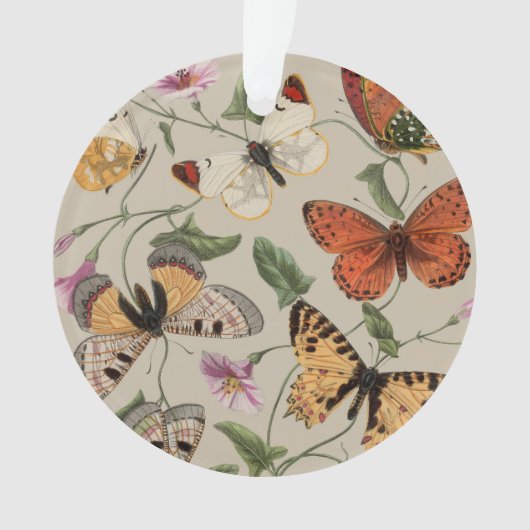 Papillon Moth Nature Collection Dessin (devant)