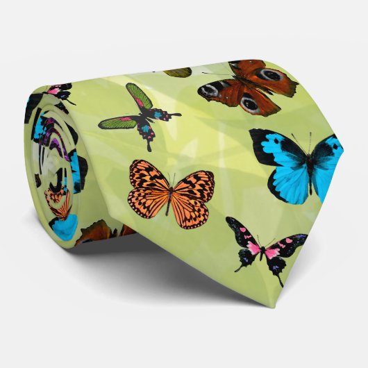 Papillon - multi - cravate (Roulé)