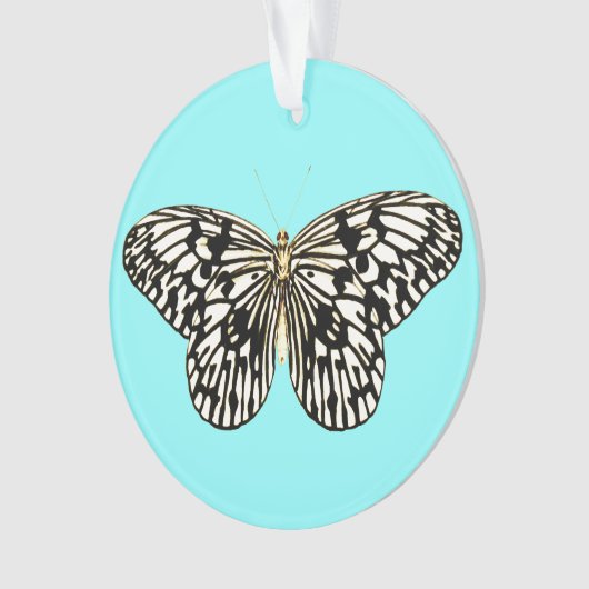 Papillon noir et blanc, arrière - plan turquoise (devant)
