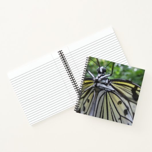 Papillon noir et blanc Carnet de fermeture (Intérieur)