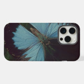 Papillon noir et bleu (Verso Horizontal)