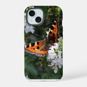 Papillon orange et fleurs blanches